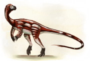 Ammosaurus