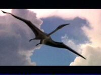 Large pterosaur