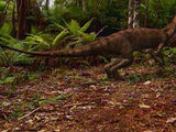 Anchisaurus