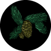 Spruce.png