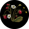 Strawberries.png