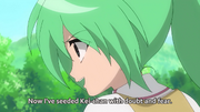 Shion Seeds Keiichi