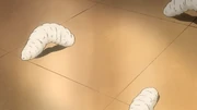Rena's Parasites