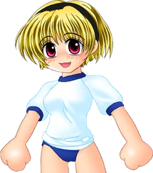 Sa pc pe.png