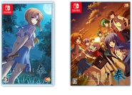 Cases for the regular and limited versions of the Switch game
