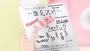 Hinamizawa Flier