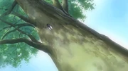 Hinamizawa's Official Higurashi