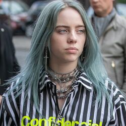 Billie Eilish Hair Colors Billie Eilish Wiki Fandom