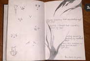 billie's notebook pages on Bury a Friend