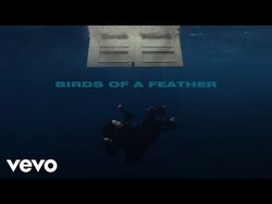 BIRDS OF A FEATHER | Billie Eilish Wiki | Fandom