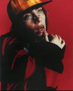 HMHAS-27.png (292 KB)