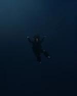 470033922 18476748790036346 5579593719441265145 n.jpg (72 KB)