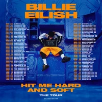 Hit Me Hard and Soft: The Tour