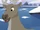 Caribou