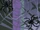 Spiders