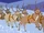 Reindeers
