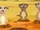 Meerkats