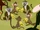 Monkeys