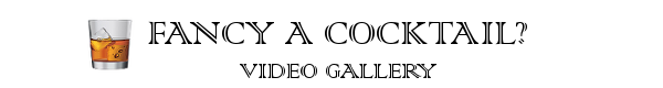 VIDGAL2.png