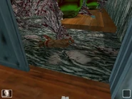 Dead cat at the Ghost Tree (At 1st floor)