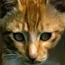 Cat.jpg (14 KB) Cat head texture