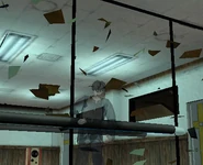 Doppelgänger in defeat (Original)