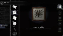 Preserverd Spider