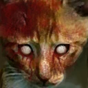 Pi-cat 00.jpg (25 KB) Dead cat dead texture