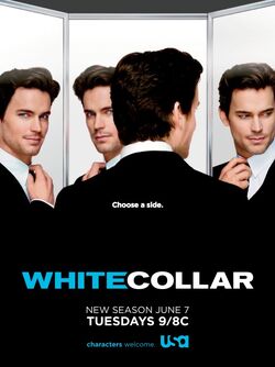 Matt Bomer, White Collar Wiki