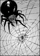 From Apocalypse (book)