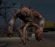 Gamecube version