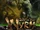 W20 Book of the Wyrm Wallpapers