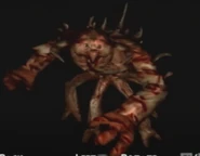 Wayward and Redeemer onwards