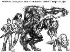 Five forms of the Garou.