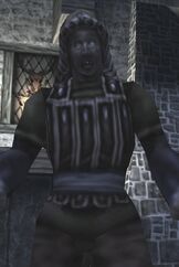 Premysl Revenant