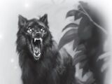 Shadow Wolves