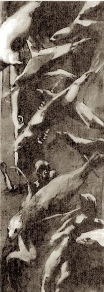 Selkie05.png