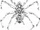 Pattern Spider
