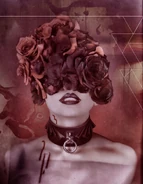 Ash Camarilla book.png (1.15 MB) Victoria Ash in her wedding dress from Camarilla by Tomas Arfert