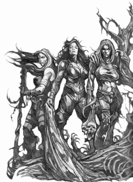 TheThreeSisters