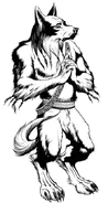 Fianna (Casamenteira)