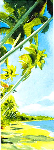 Hawaii08.png
