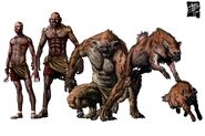 The Ajaba Forms from left to right: Homid, Anthros, Crinos, Crocas, Hyaenid (Changing Breeds, p. 50)