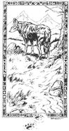 From Werewolf Players Guide. Art by John Bridges