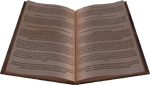 The skill book item containing the pitch text.