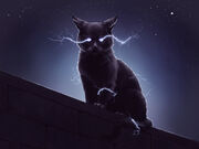 Stormcat
