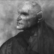 From New York by Night