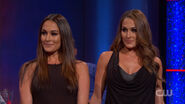 "The Bella Twins"