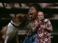 Wl newsflash us 0607.jpg (207 KB) "Newsflash"