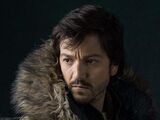 Cassian Andor